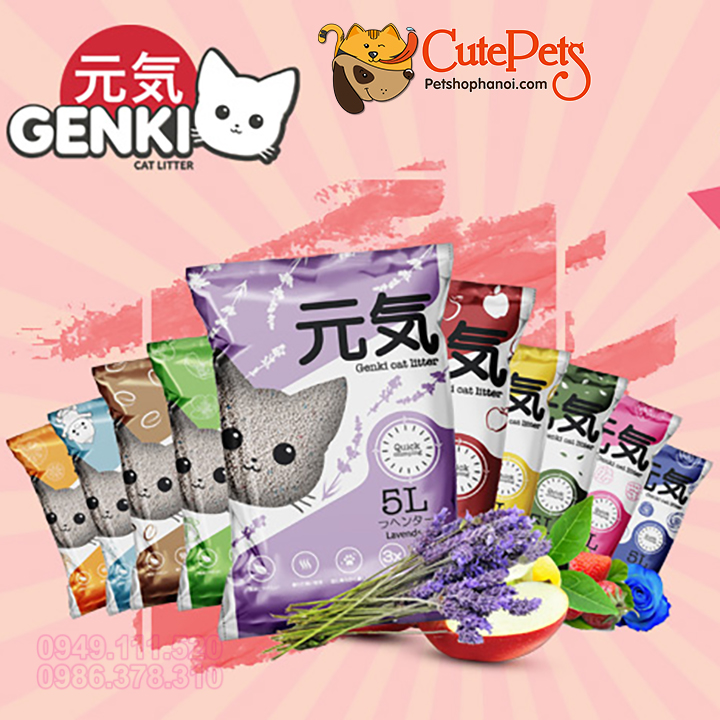 Cát vệ sinh cho mèo Cát GENKI 5L Cát mèo giá rẻ khử mùi tốt - Cutepets Cutepets - Pet shop & Grooming Spa Thú cưng Hà Nội